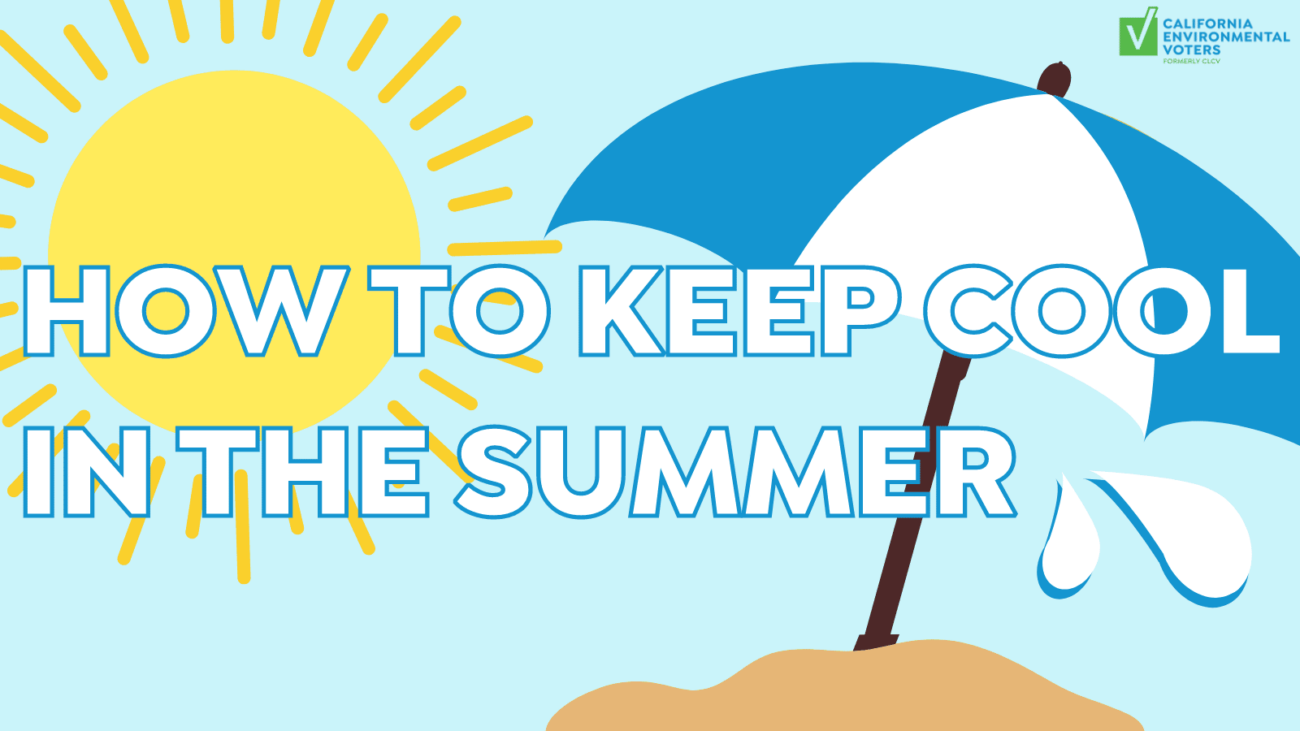How to Keep Cool in the Summer (Twitter Post)